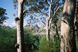 murchison bridge  b.jpg